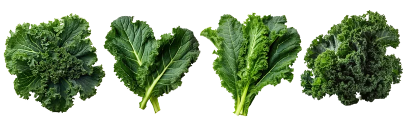 Poster Set of Kale leaves illustration isolated on white transparent background, PNG , Generative AI © HappyTime 17