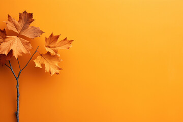 Fototapeta premium autumn leaves background
