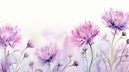 Violet watercolour cornflower knapweed centaurea spring meadow flower illustration. Floral blooming painting