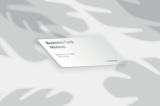 Colour Silver Card