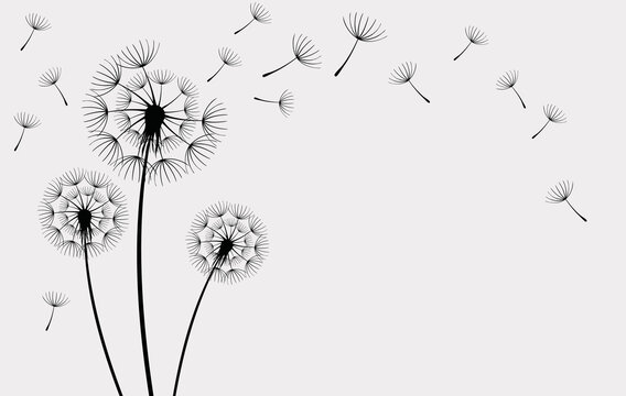 Vector illustration dandelion seed blowing in the wind
