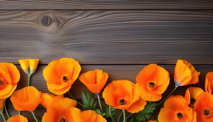 Orange poppies on wooden background. Top view with copy space