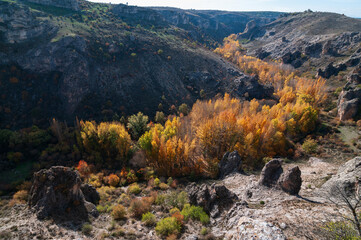 Paisaje otoñal del parque natural del río Dulce en Guadalajara, Castilla la Mancha, España.