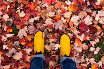 Bright yellow gum boots in pink red purple autumn leaves