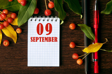 calendar date on wooden dark desktop background with autumn leaves and small apples. September 9 is...