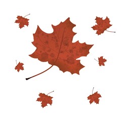 Fototapeta premium Autumn5