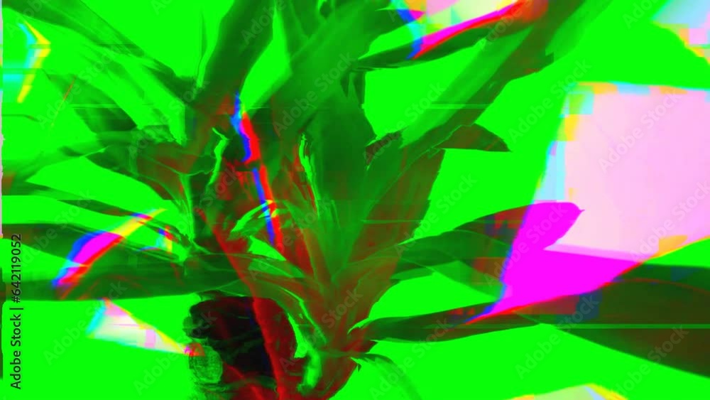 Poster abstract footage with a green plant with a glitch effect. motion graphic design. glitched abstract b