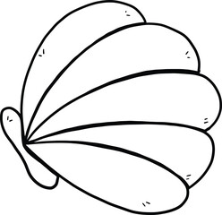 illustration of shell