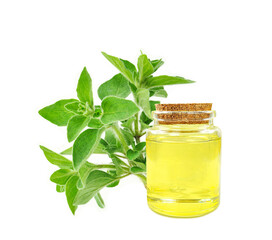 Oregano essential oil in a bottle isolated on a white background