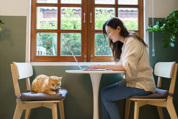 woman working from home with cat. cat asleep on the laptop keyboard. assistant cat working at Laptop