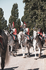 The beautiful Danish Guard Hussars Regiment