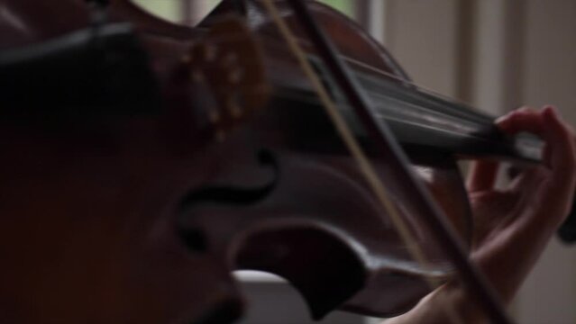 Close-up, female hands playing the violin