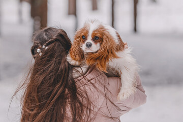 Naklejka premium Cute girl playing with dog on the winter park, forest. The concept of Christmas and New Year