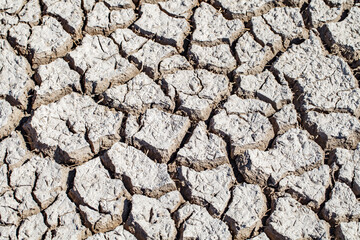 Cracked dried up earth close-up, selective focus