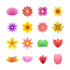 Naklejka premium colorful floral set with different types of flowers
