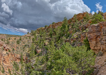 Below Navajo Point at Grand Canyon AZ