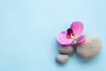 Fototapeta na wymiar Zen stones with lotus flower - purity harmony and balance concept