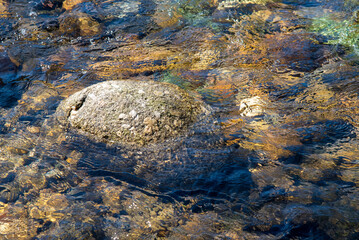 Caillou dans rivière