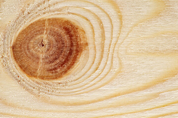 Surface of the  board in close-up with trace of wooden knot