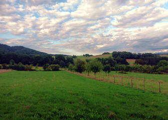 Fototapeta premium Wiesen und Waldlandschaft bei Schweich in der Nähe von Trier im Landkreis Trier-Saarburg. Aussicht vom Wanderweg Moselsteig Seitensprung Meulenwald Tour.