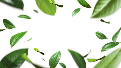 Greenery leaves flying movement around copy-space cutout transparent backgrounds 3d rendering png