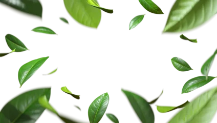 Fotobehang Greenery leaves flying movement around copy-space cutout transparent backgrounds 3d rendering png © Krit