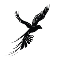 Black Flying Bird Silhouette Vector on White