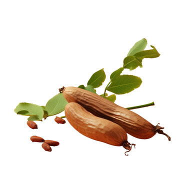 Tamarind against transparent background