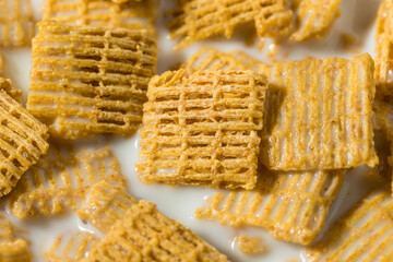 Healthy Organic Cinnamon Whole Wheat Cereal