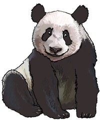 Smiling friendly panda for kids and teenagers