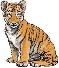 Smiling friendly tiger for kids and teenagers