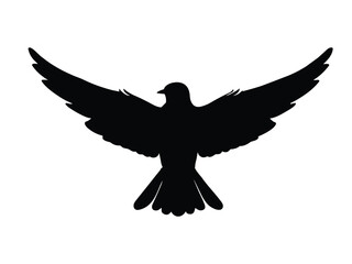  Black Swallow with Spread Wings 