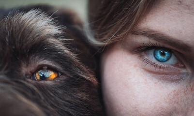 Close up Auge Hund mensch