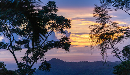 Evening view through the canopy of leaves of a valley in Costa Rica during sunset