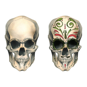 Human skulls front view with colored ornaments and without. Hand drawn watercolor illustration for Halloween, day of the dead, Dia de los muertos. Set of isolated objects on a white background