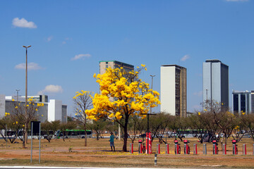 Brasília