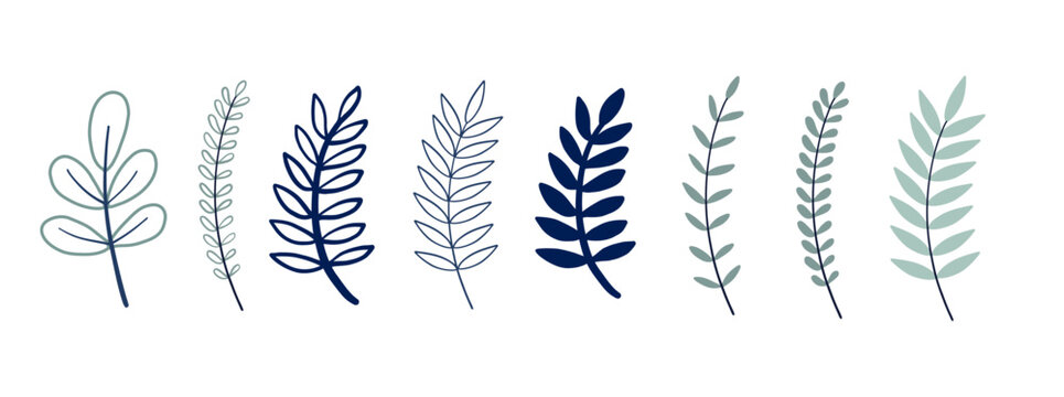 Botanical Branches and Leafes Vector Set
