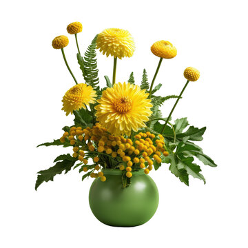Mini santini chrysanthemum and globosa Craspedia arranged on a transparent background