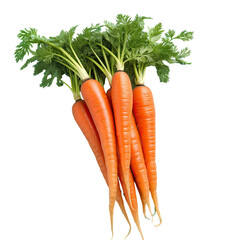 Fresh carrots isolated on a transparent background