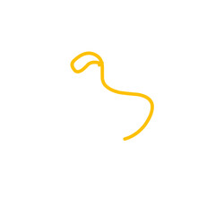 yellow noose