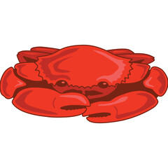 Crab Illustration 