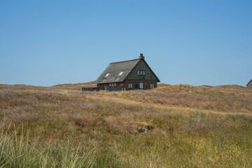 Ferienhaus in den Dünen der Insel Fanö in Dänemark an der Nordseeküste