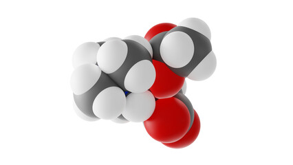 acetylcarnitine molecule, acetyl-l-carnitine molecular structure, isolated 3d model van der Waals