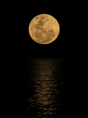 Fototapeta premium Once in a blue Moon rising over Orewa Beach in New Zealand.
