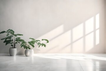 plant in a vase on the marble floor with white colored wall in the interior of a home