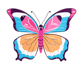 Butterfly isolated on white background 