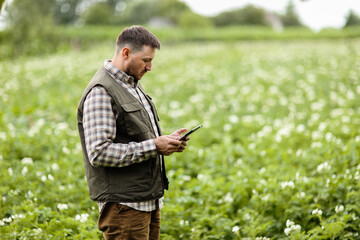 Farmer or agronomist uses digital tablet to analyse and check the growth and disease of the...
