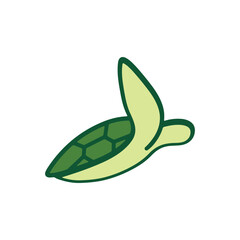 Turtle logo design. Animal icon illustration