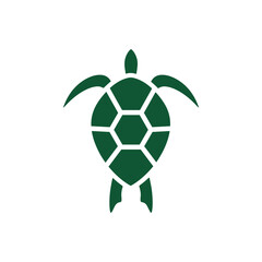 Obraz premium Turtle logo design. Animal icon illustration