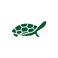 Turtle logo design. Animal icon illustration